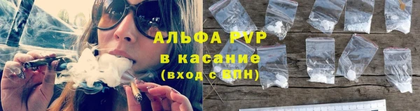 шишки Магас