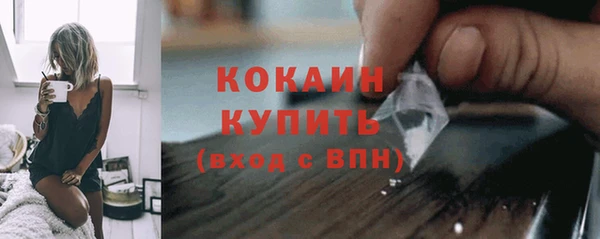 шишки Магас