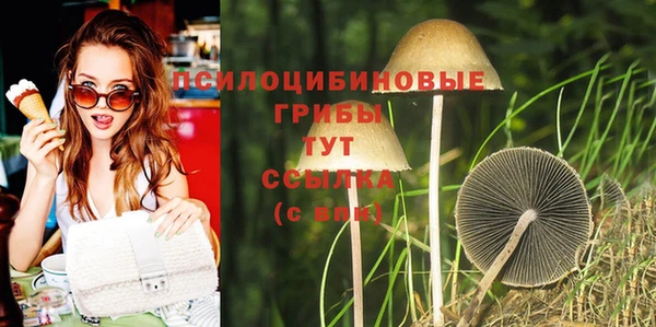 MDMA Premium VHQ Магадан