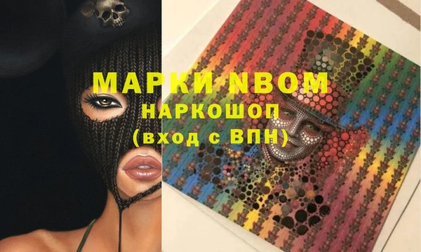 шишки Магас