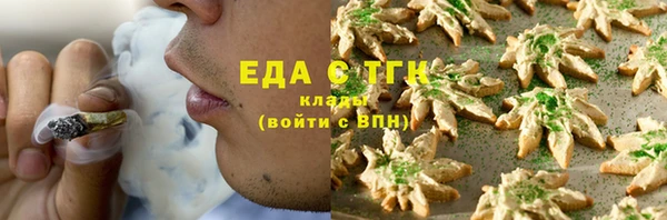 шишки Магас