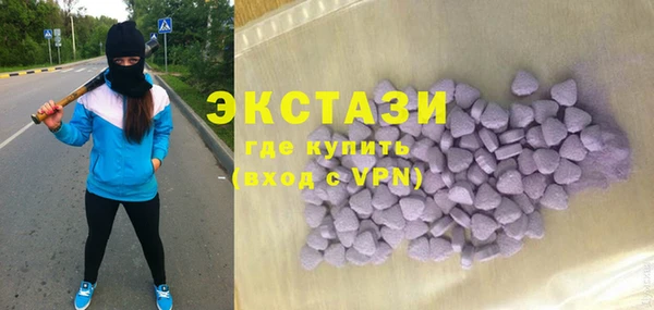 шишки Магас