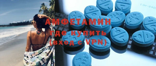 шишки Магас