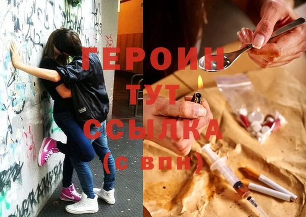 шишки Магас