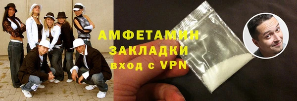 шишки Магас