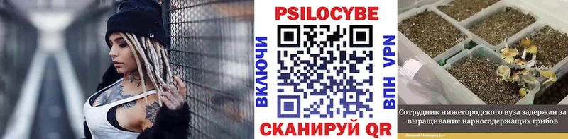 Галлюциногенные грибы MAGIC MUSHROOMS  где можно купить   Завитинск 